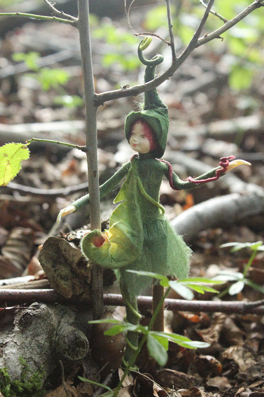 Fairy Forester