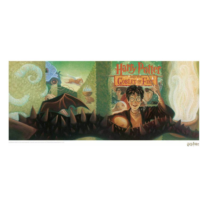 Harry Potter Art Print Goblet of Fire Book Cover Artwork Limited Edition - Olleke Wizarding Shop Brugge London Maastricht