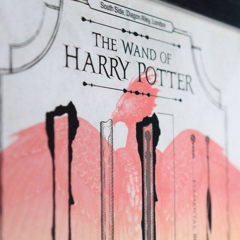 Harry Potter Art Print Limited Edition Fan-Cel